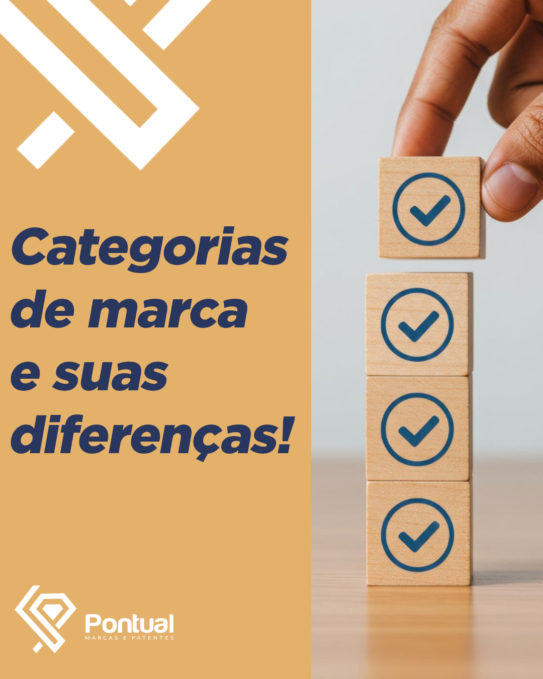 Categorias de marca e suas diferenças!
